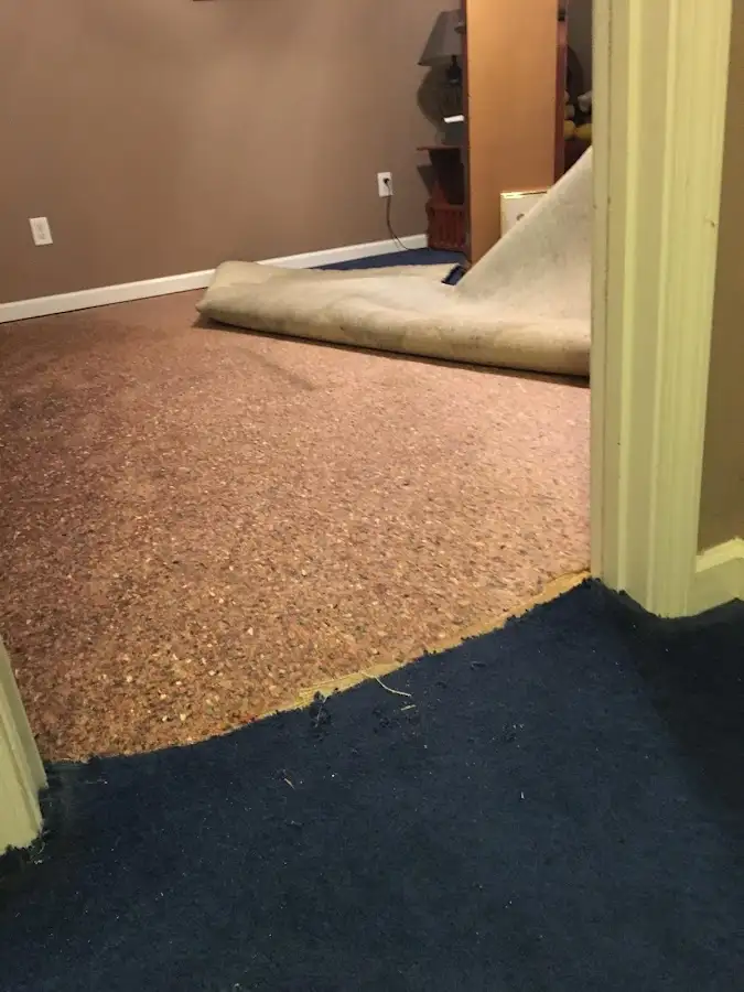 Carpet pad removal revealing water damage during Water Mitigation Services in Helena-West Helena