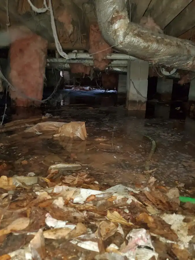 Crawl space flood assessment for Commercial Water Damage Restoration in Helena-West Helena